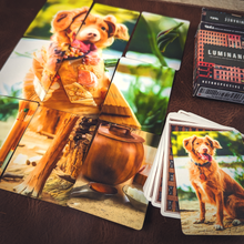 Load image into Gallery viewer, Fusion Mosaic Phenomenon