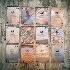 The Identity Deck